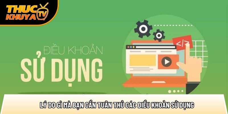 Điều khoản sử dụng - Quy định chi tiết khi truy cập website 2 ly do gi ma ban can tuan thu cac dieu khoan su dung 1